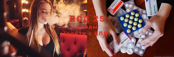 2c-b Ельня