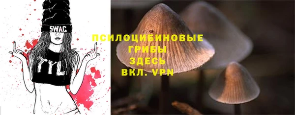 2c-b Елабуга