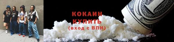 2c-b Ельня