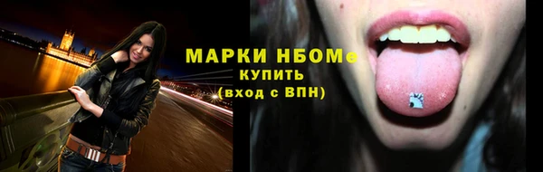 2c-b Ельня