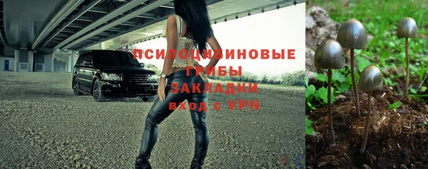 соль курить ск Елизово