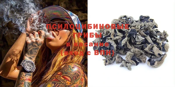 2c-b Елабуга