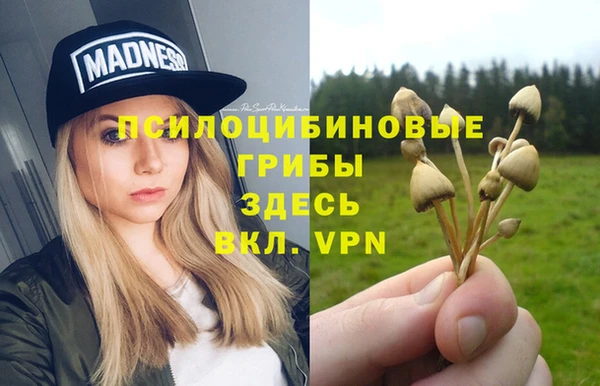 2c-b Елабуга