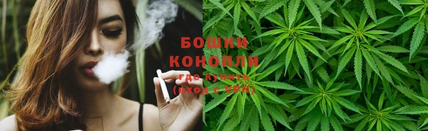 2c-b Ельня