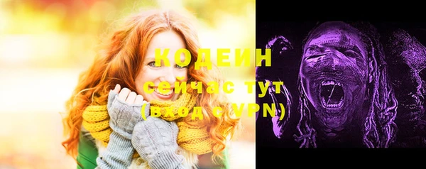 2c-b Елабуга
