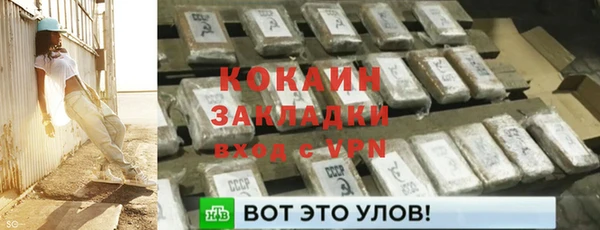 2c-b Ельня