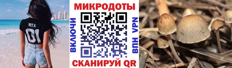 Купить  Сургут  Псилоцибиновые грибы GOLDEN TEACHER 